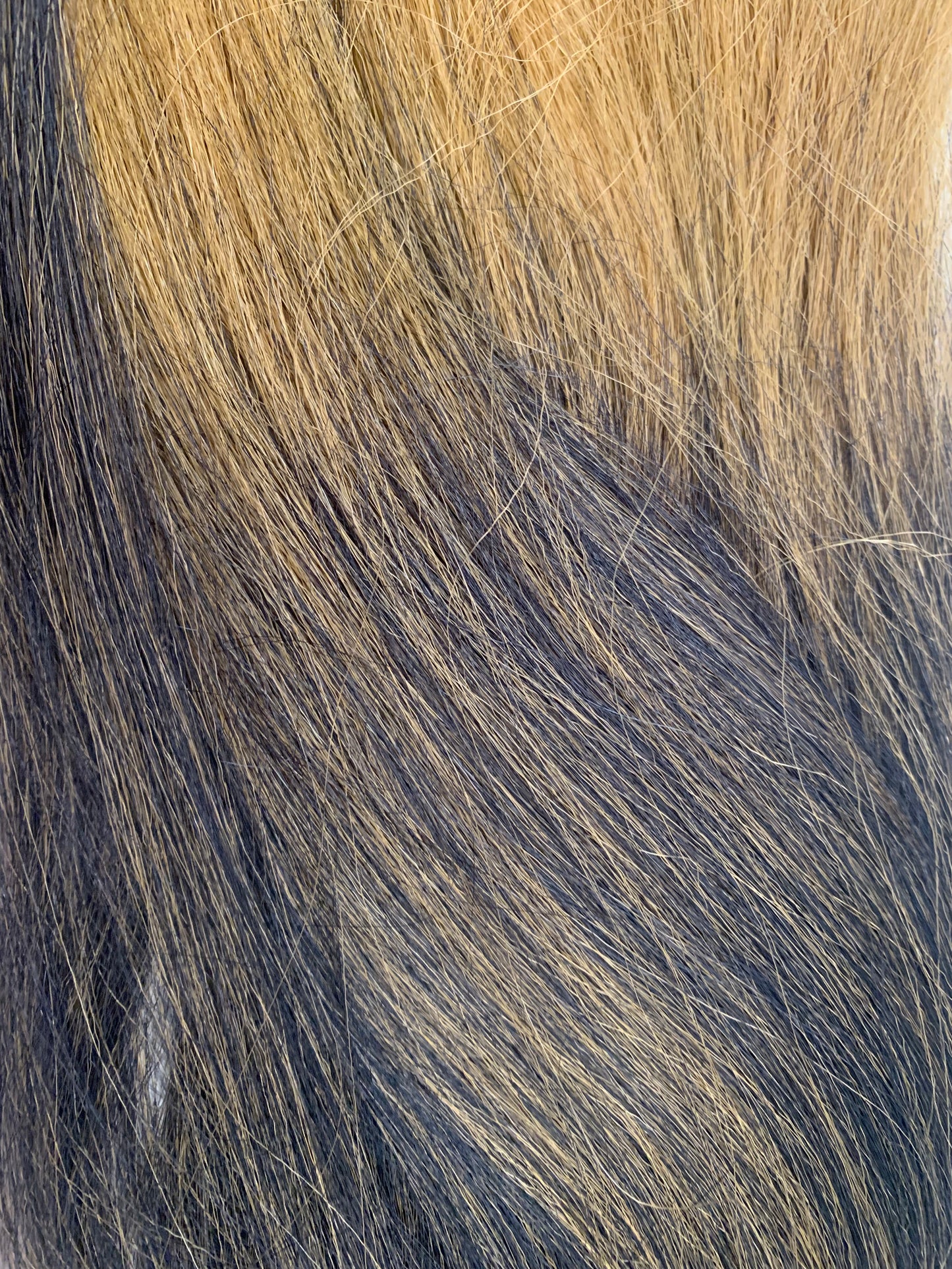 Hair Extension - Darling One Million - Ombre - #1/27