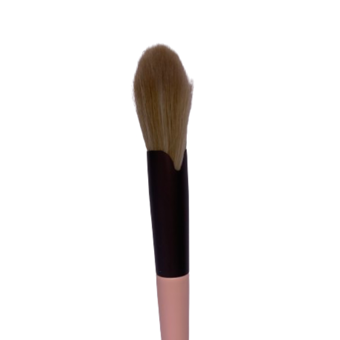 Make-up Brush Kit.